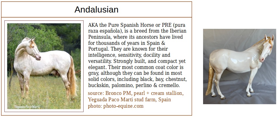 rare andy breed card